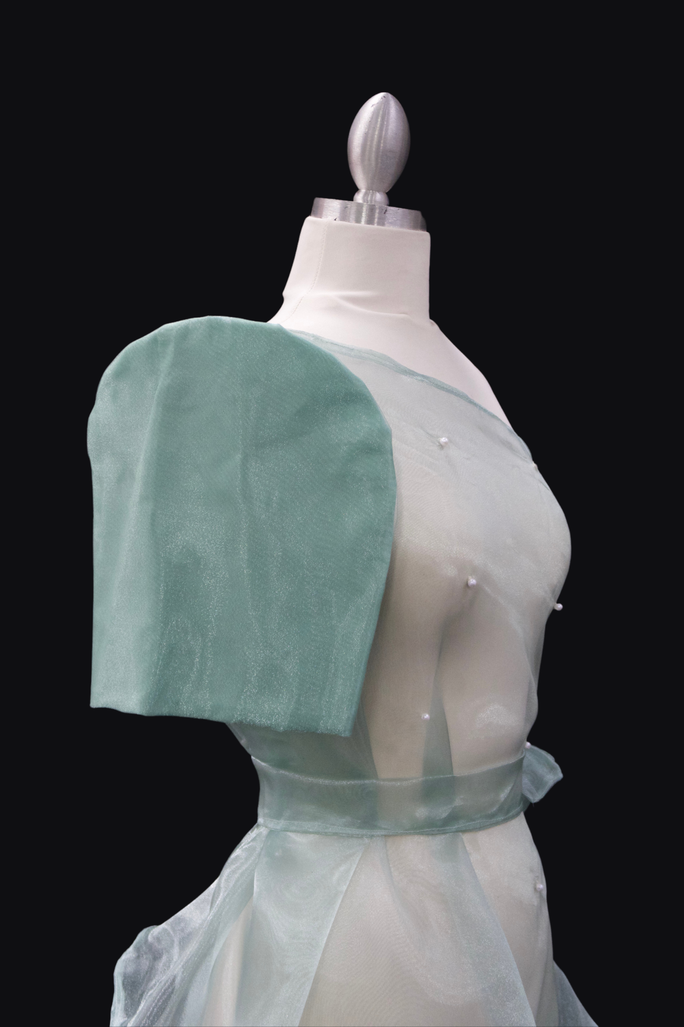 Venus Filipiniana - Sage